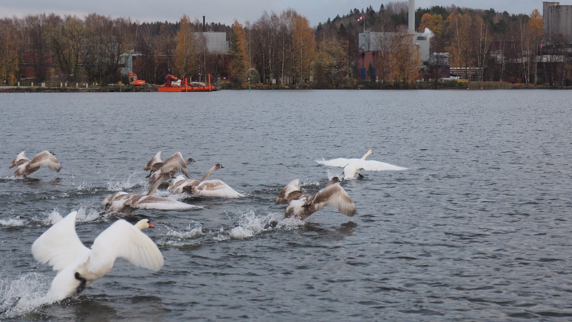 Valokuvaaja: Martti Valtonen Valokuvaaja: Martti Valtonen