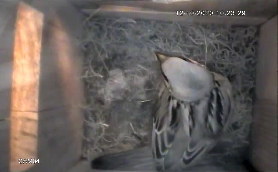 Valokuvaaja: Jyrki Aronen