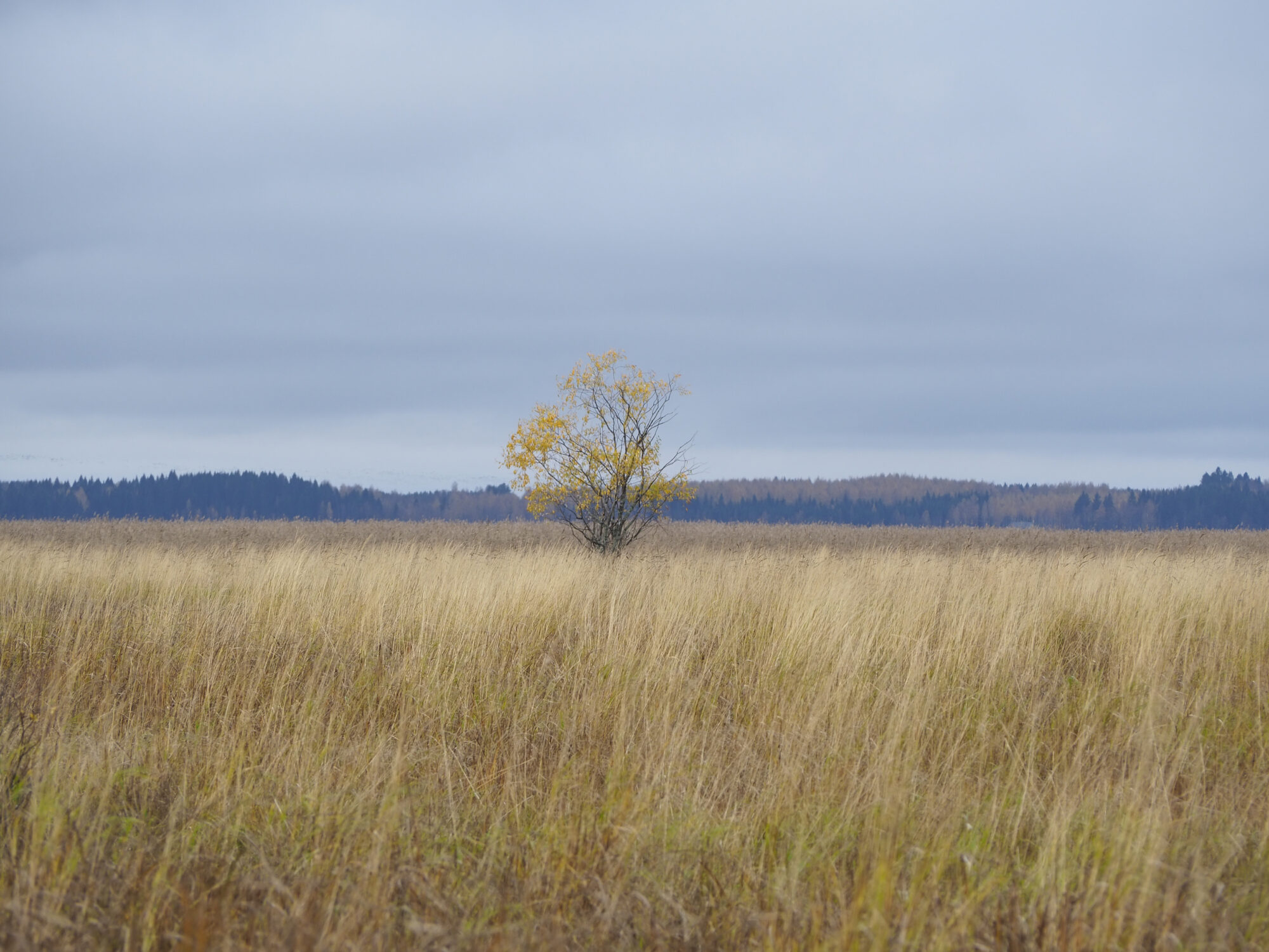 Valokuvaaja: Marja Nevalainen