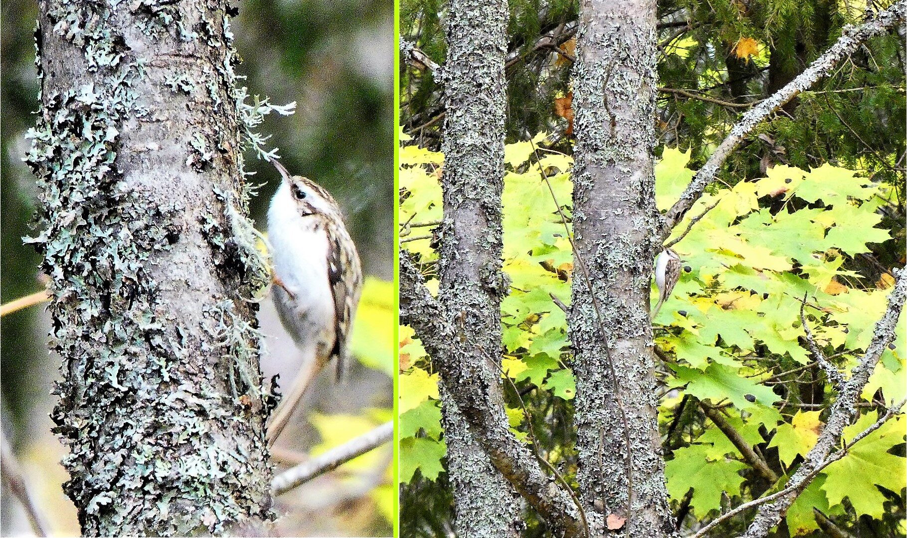 Valokuvaaja: Pekka Heino