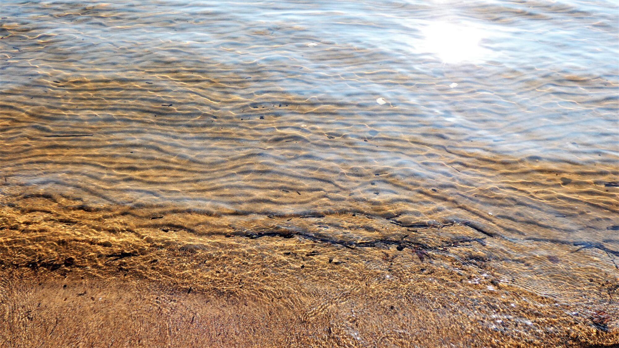 Valokuvaaja: Pekka Heino