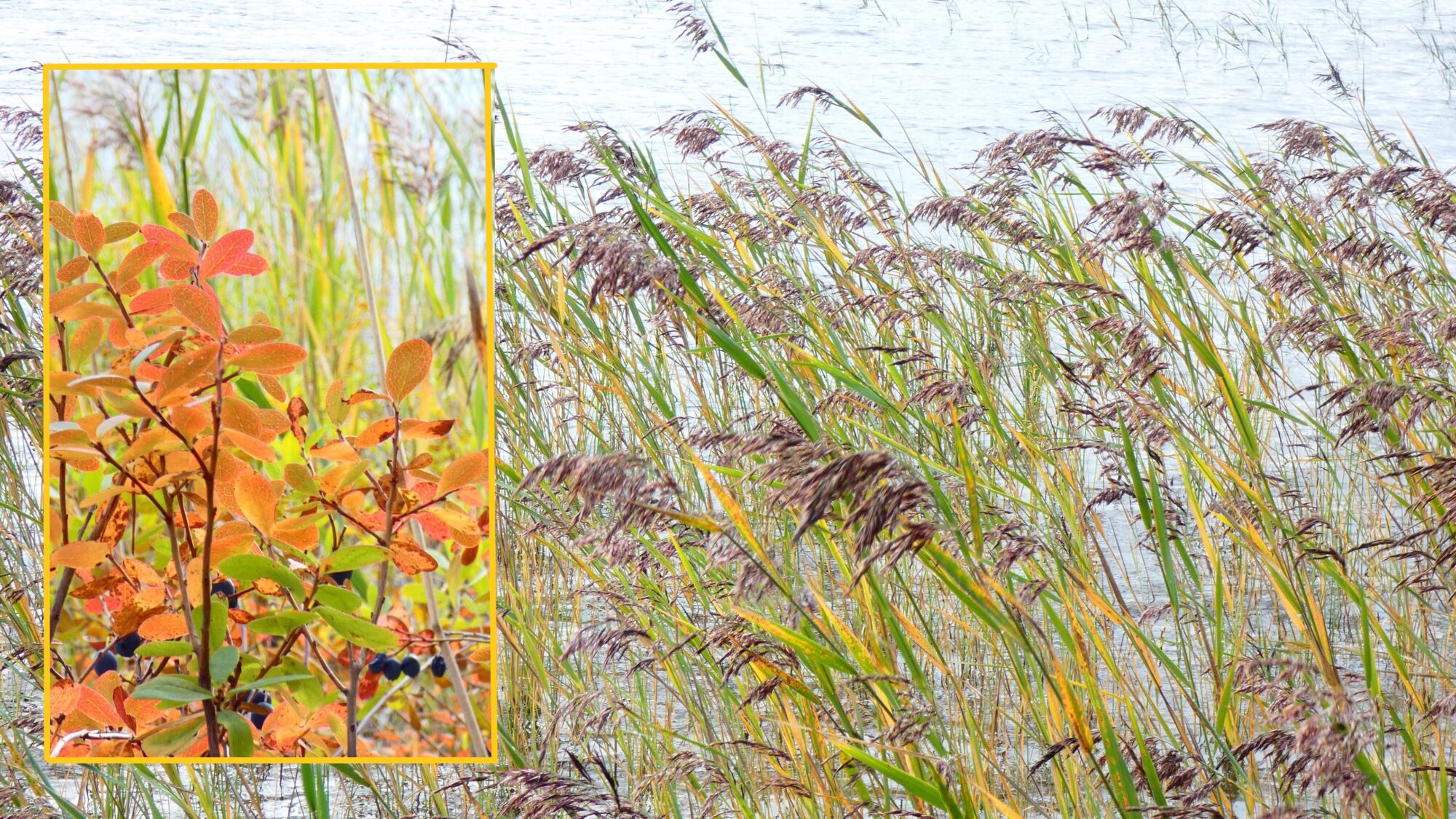 Valokuvaaja: Pekka Heino