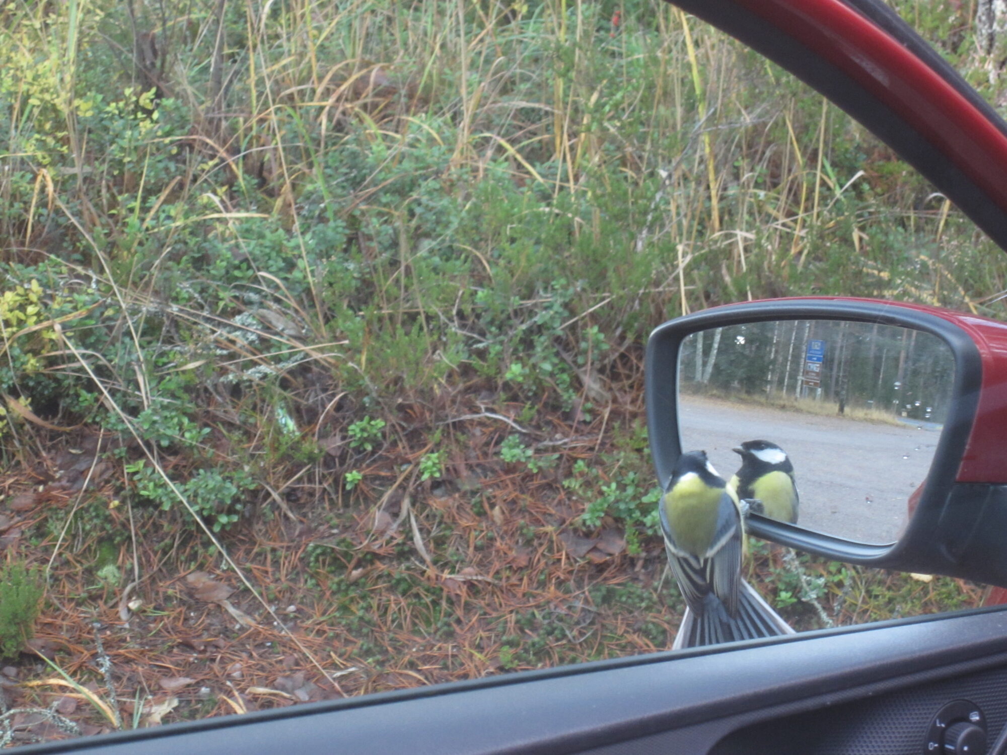 Valokuvaaja: Marita Portin