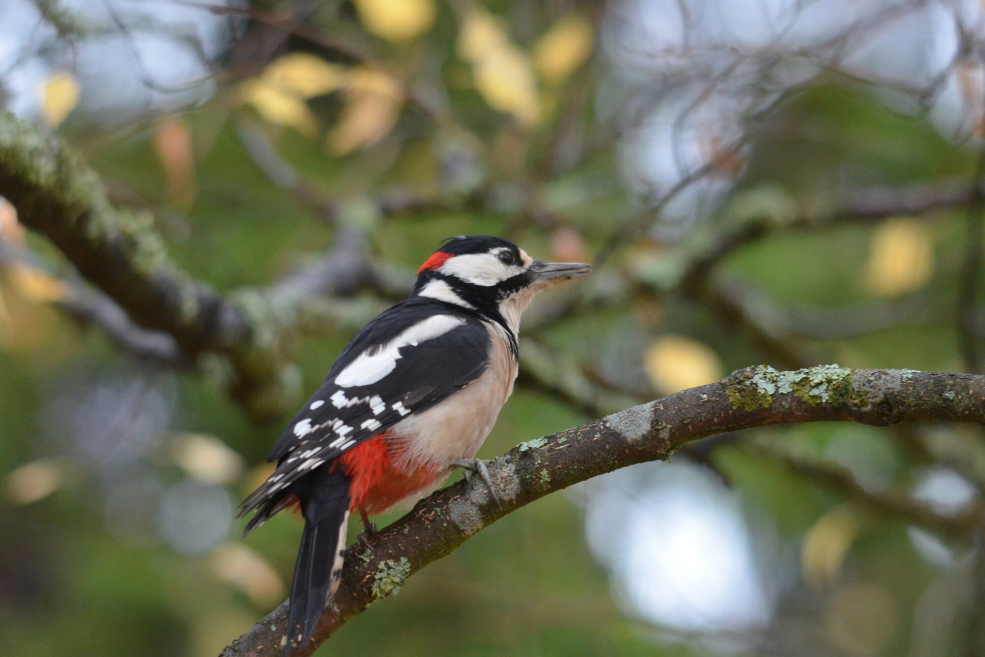Valokuvaaja: Kalle Asikainen