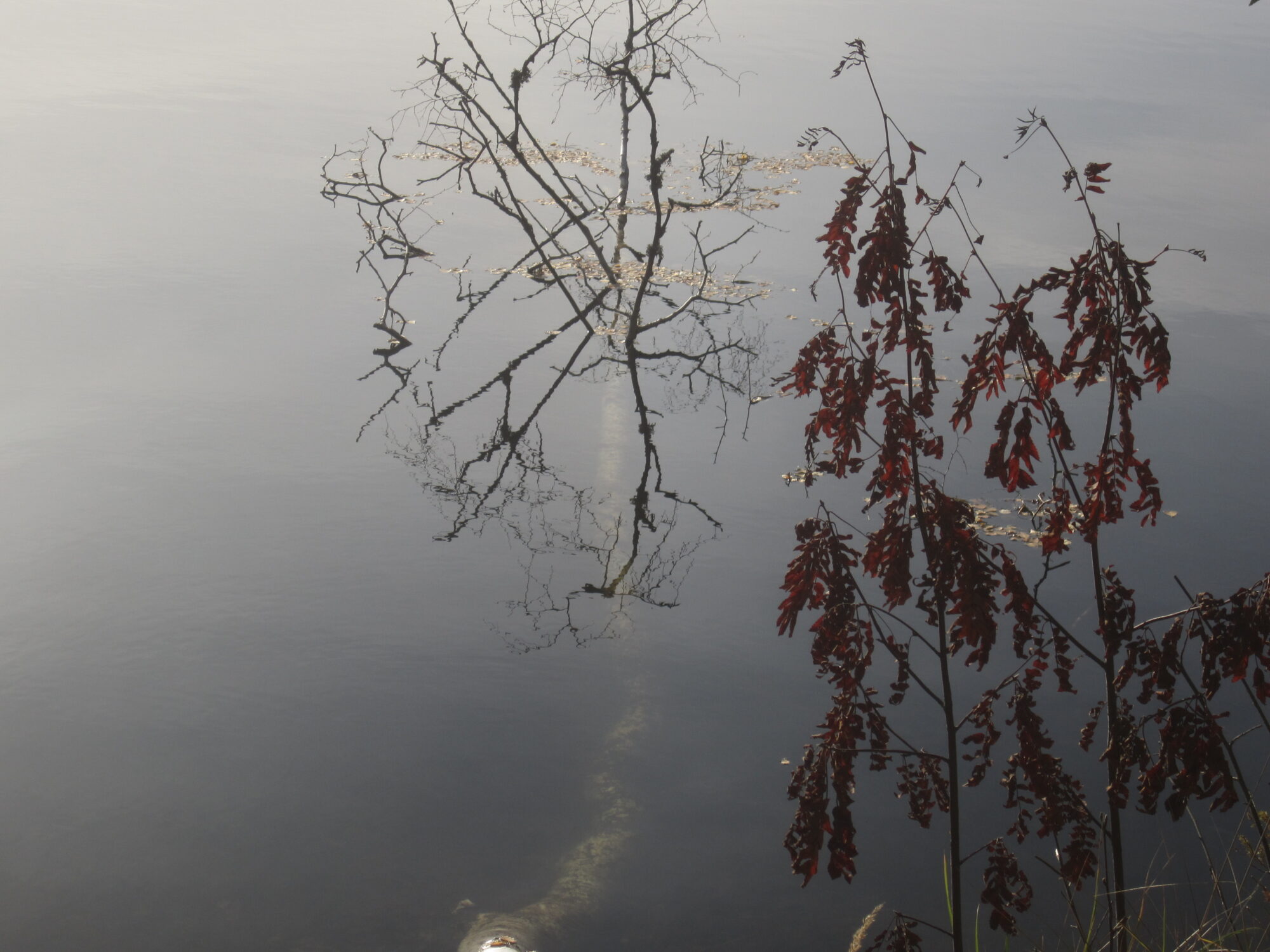 Valokuvaaja: Marita Portin
