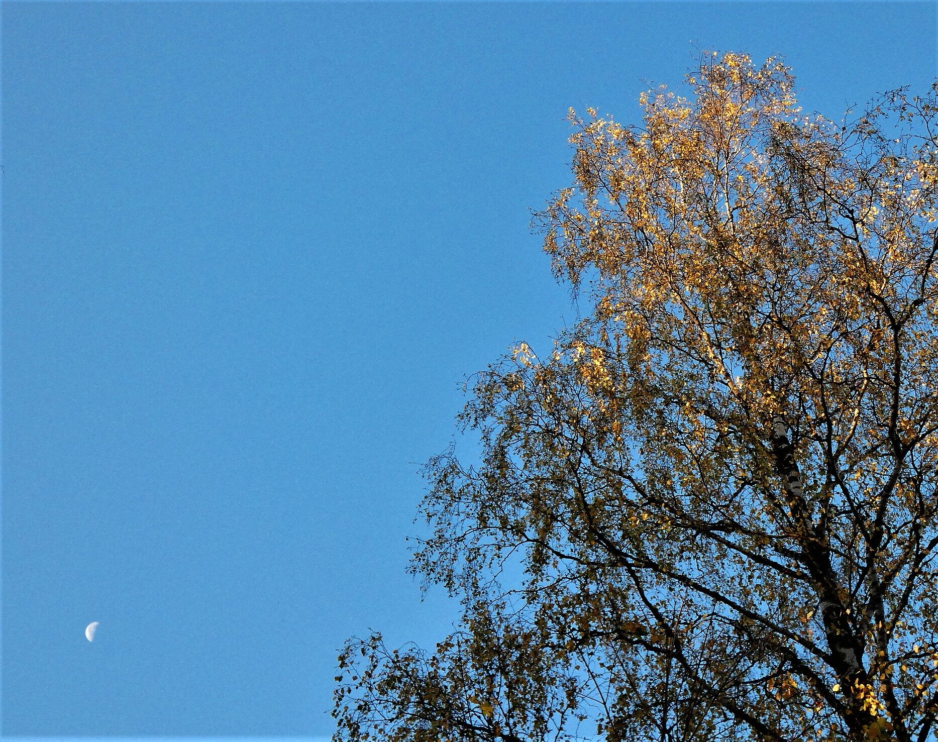 Valokuvaaja: Pekka Heino