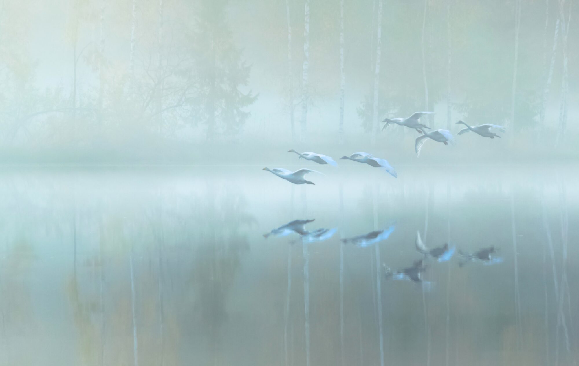 Valokuvaaja: Leena Rissanen