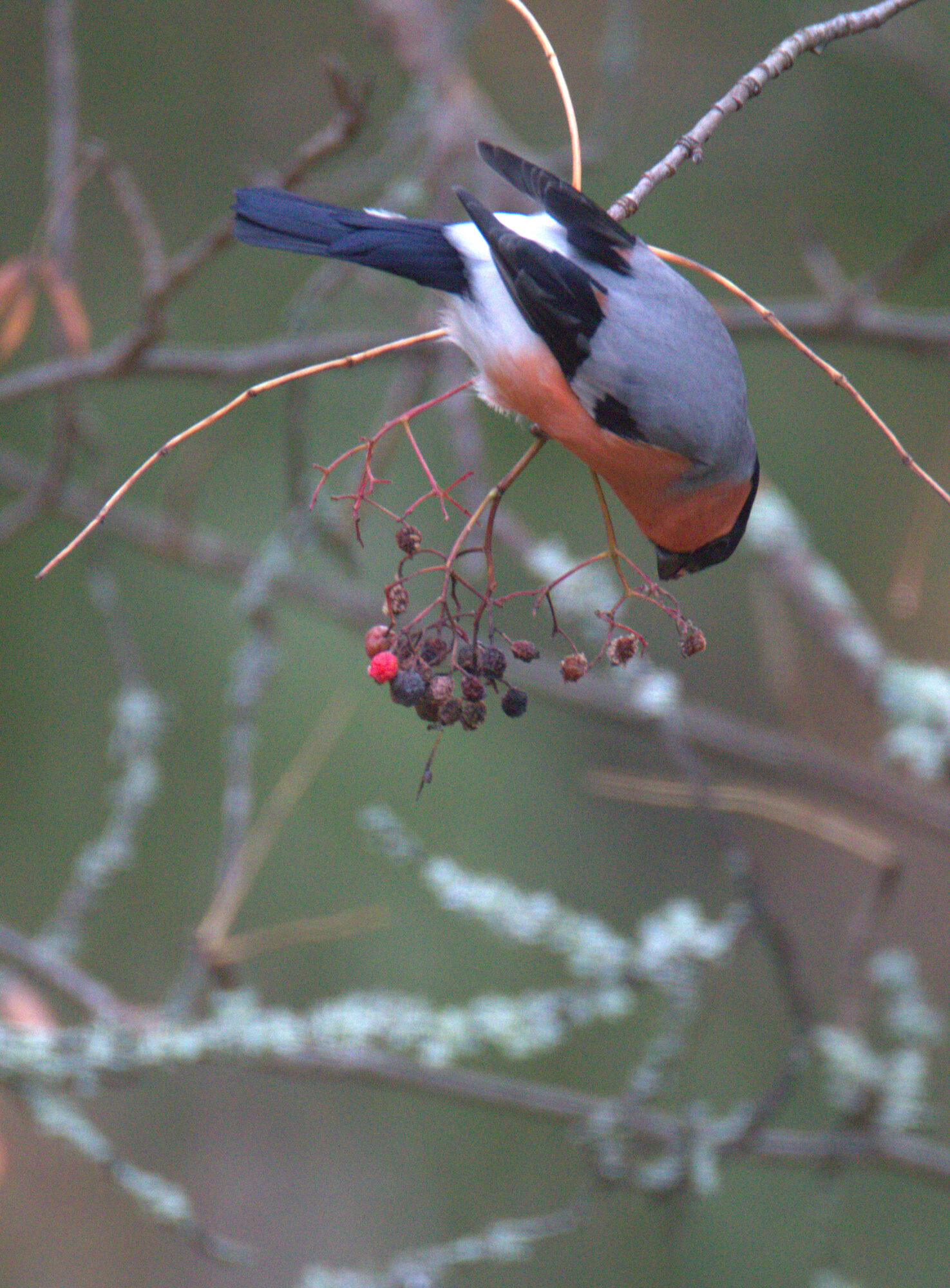 Valokuvaaja: Ahti Keränen