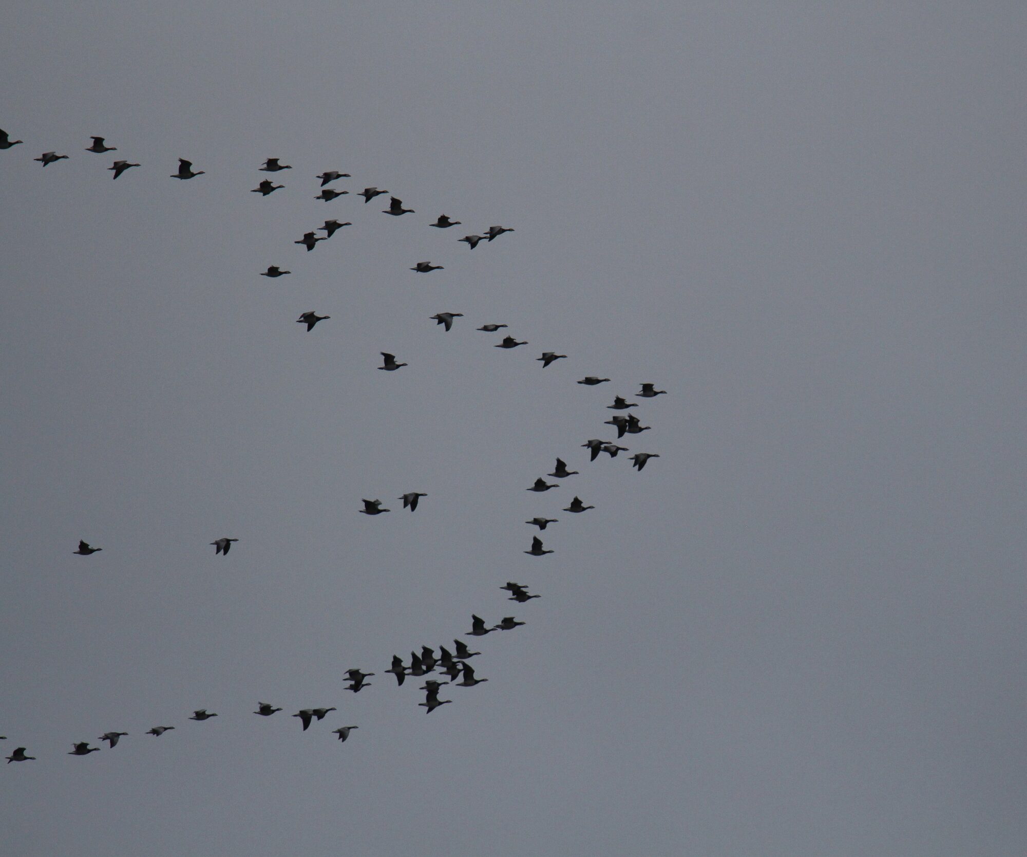 Valokuvaaja: Jaana Saarelainen