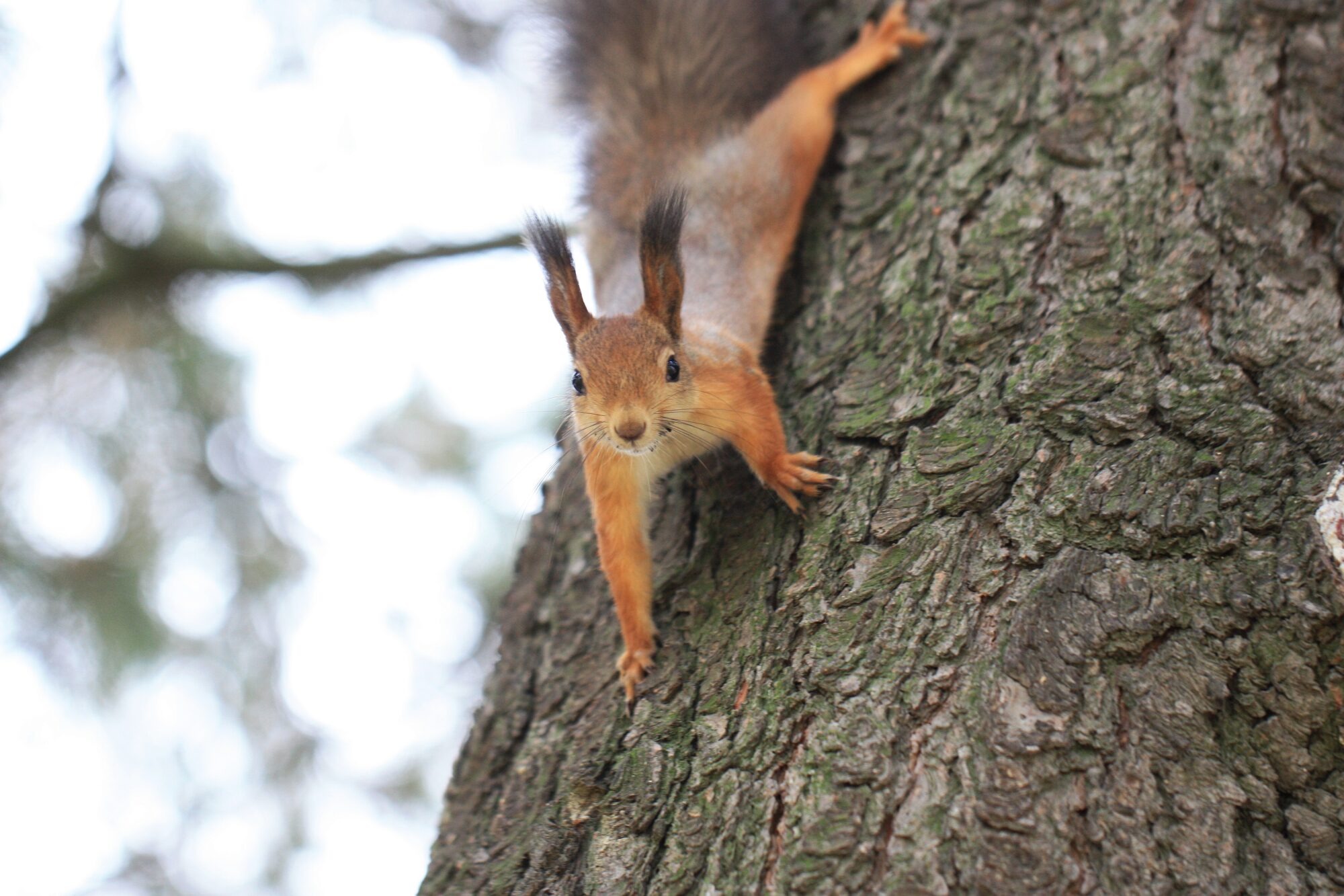 Valokuvaaja: Jaana Saarelainen