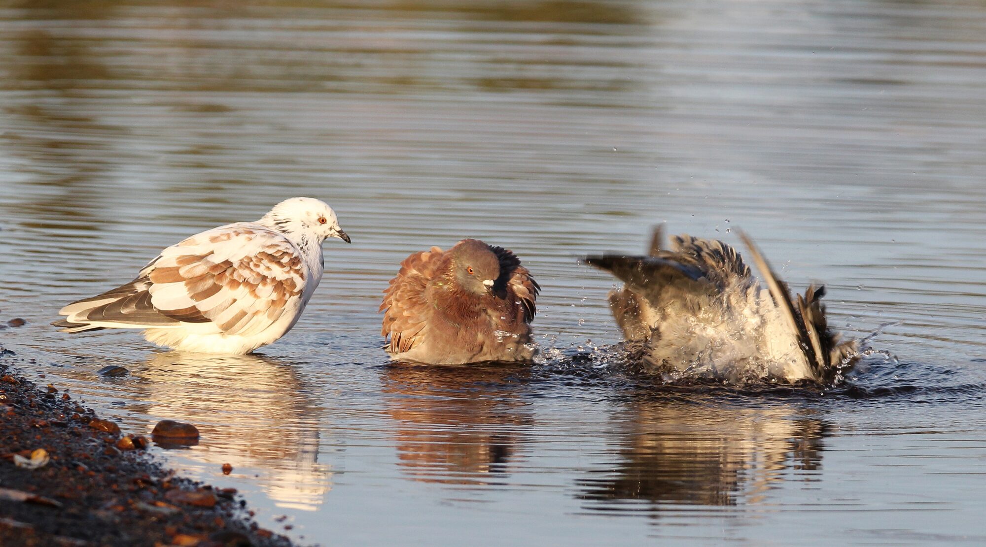 Valokuvaaja: Jaana Saarelainen