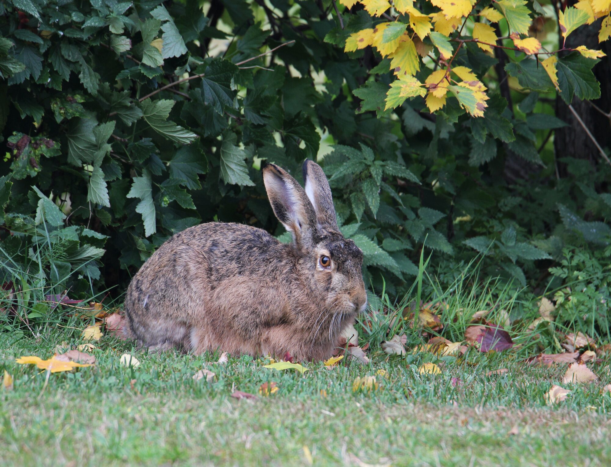 Valokuvaaja: Jaana Saarelainen