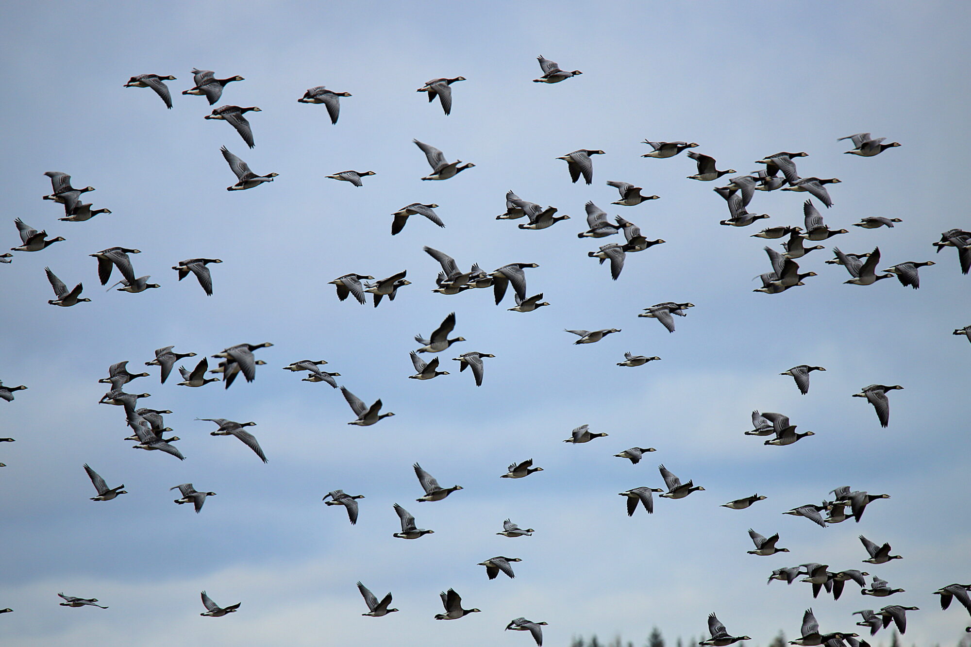 Valokuvaaja: sirpa jyske