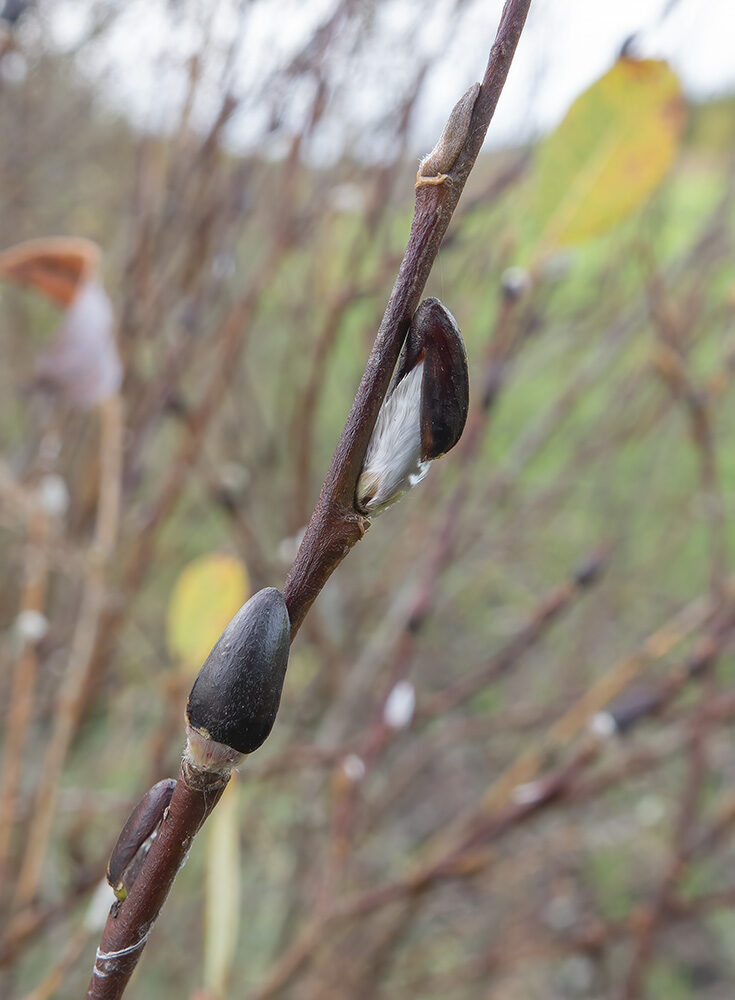 Valokuvaaja: Hanna Järvinen
