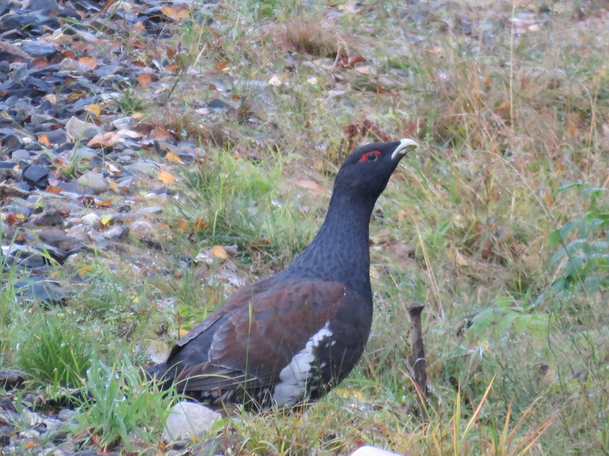 Valokuvaaja: Tuula Makkonen Valokuvaaja: Tuula Makkonen