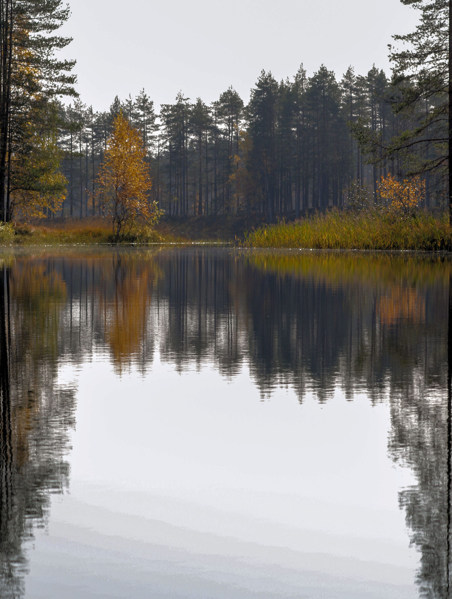 Valokuvaaja: Ahti Keränen Valokuvaaja: Ahti Keränen