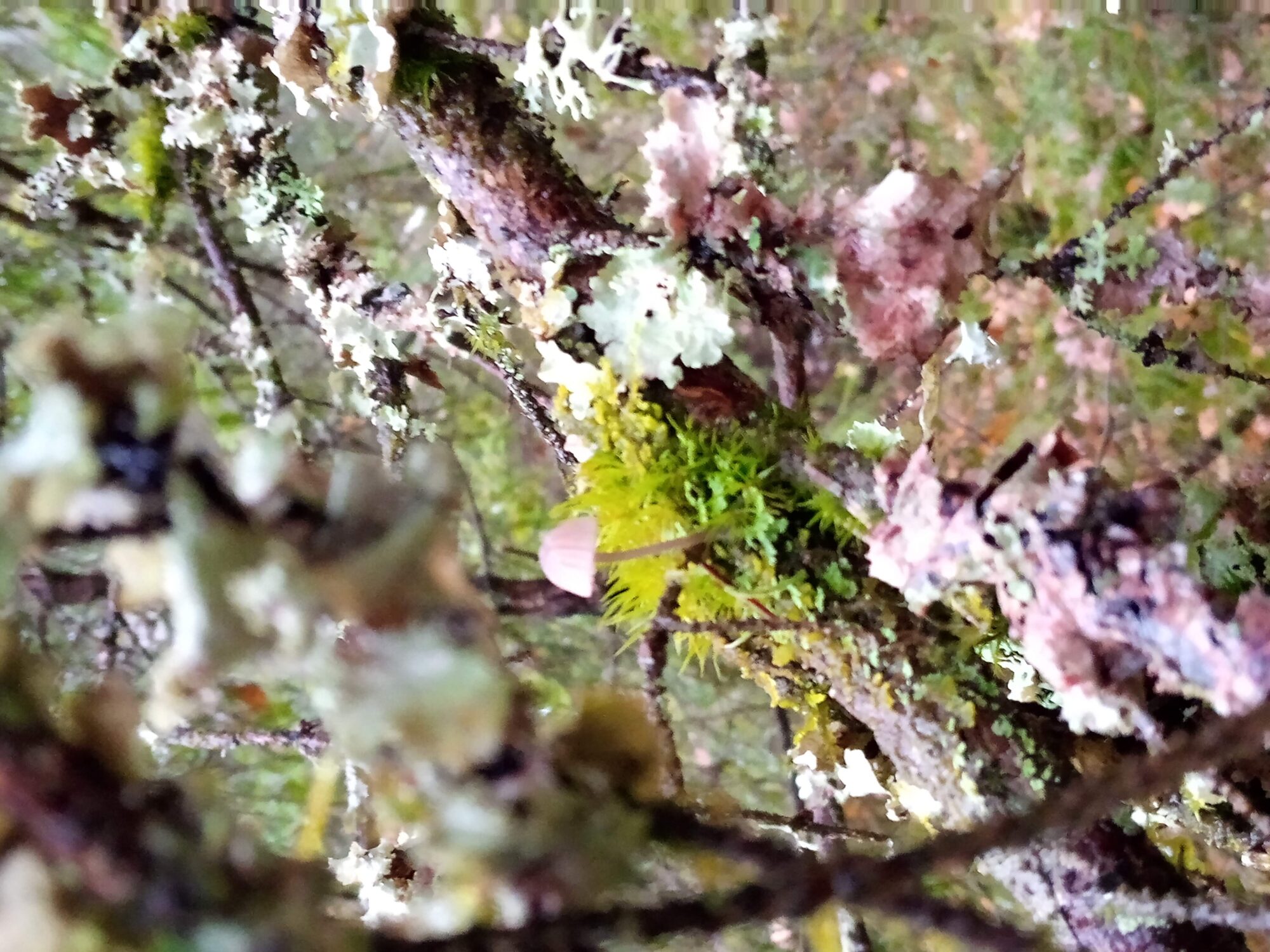 Valokuvaaja: Katja Heiskari