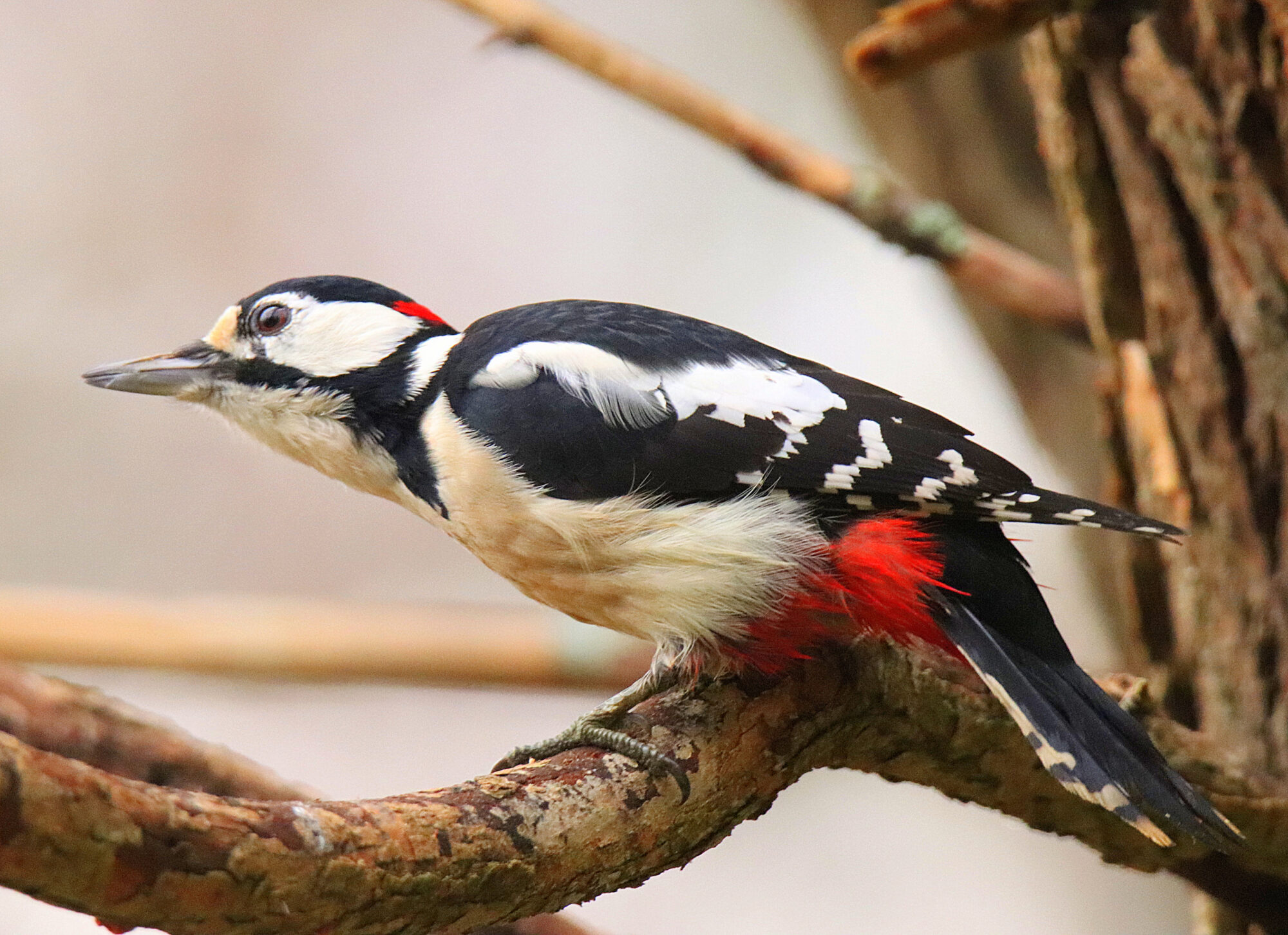 Valokuvaaja: sirpa jyske