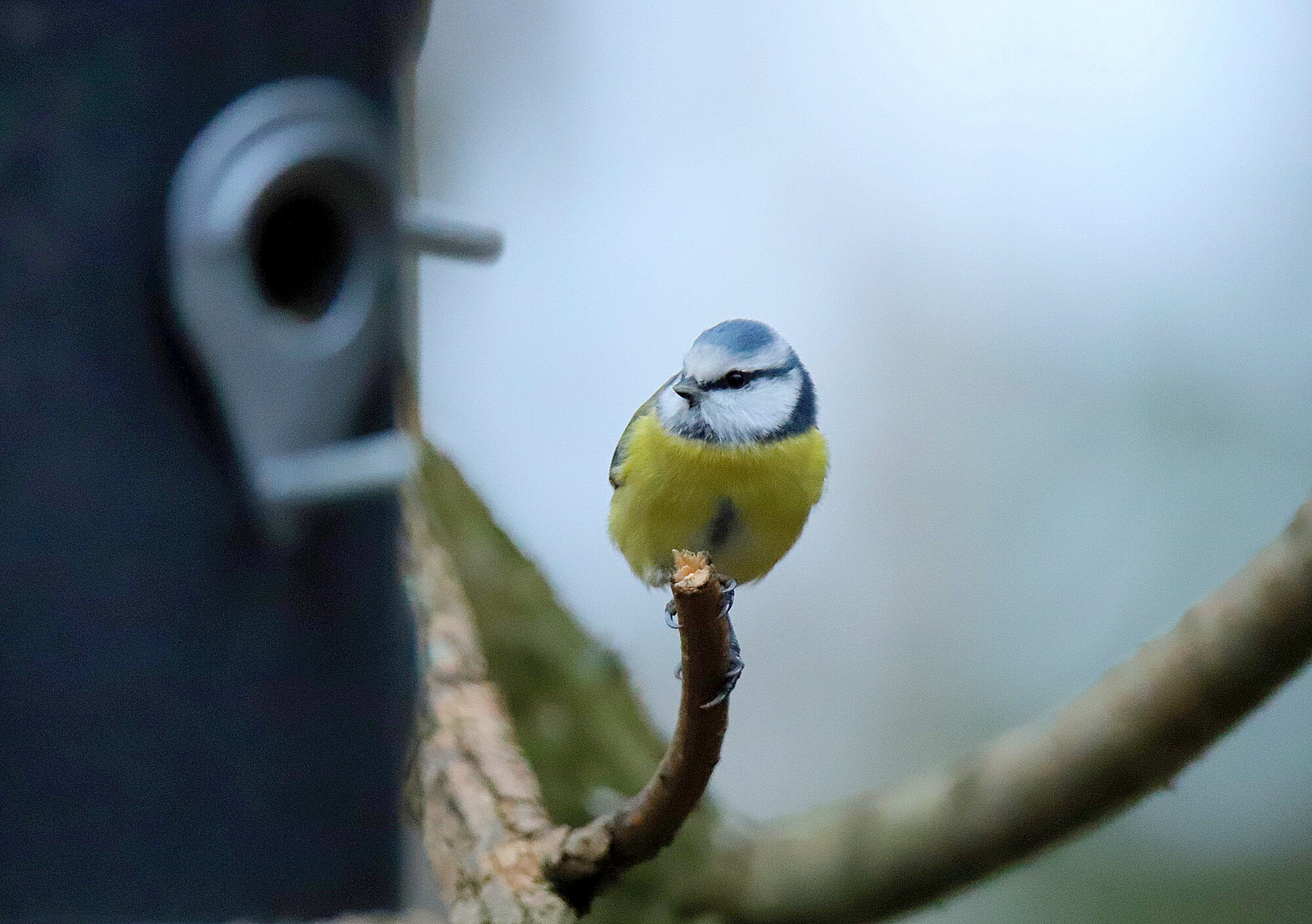 Valokuvaaja: sirpa jyske