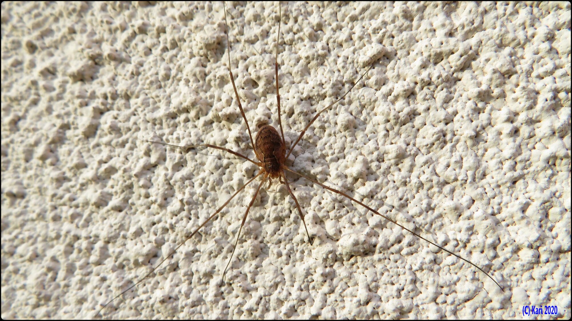 Valokuvaaja: Kari Saarinen