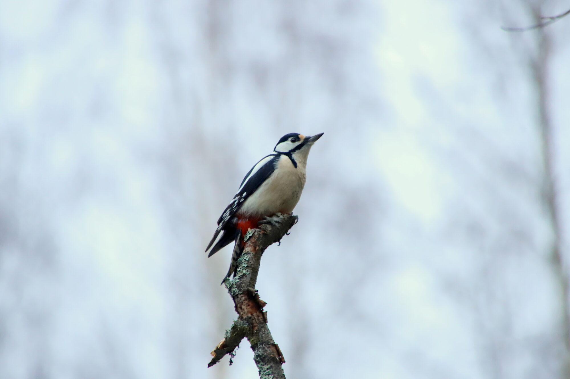 Valokuvaaja: sirpa jyske