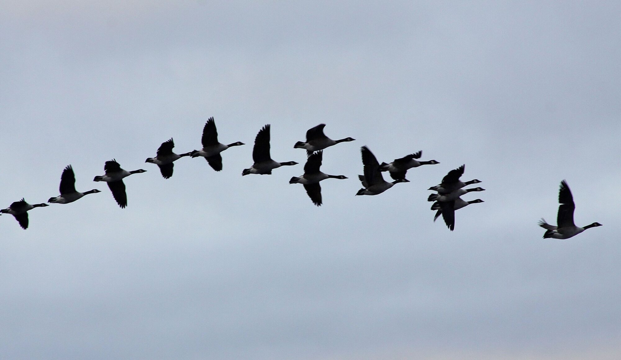 Valokuvaaja: Pirkko Siukonen Valokuvaaja: Pirkko Siukonen