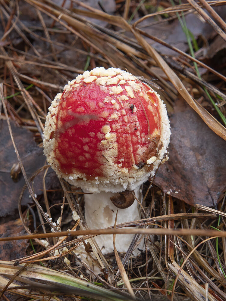 Valokuvaaja: Hanna Järvinen