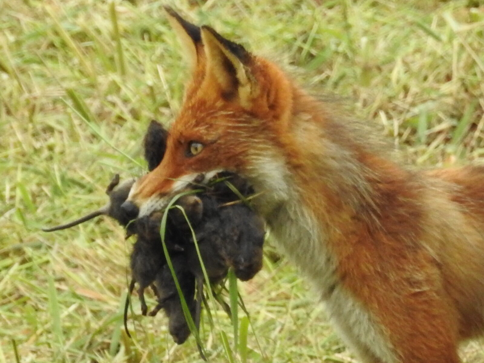 Valokuvaaja: Päivi Heikkilä Valokuvaaja: Päivi Heikkilä