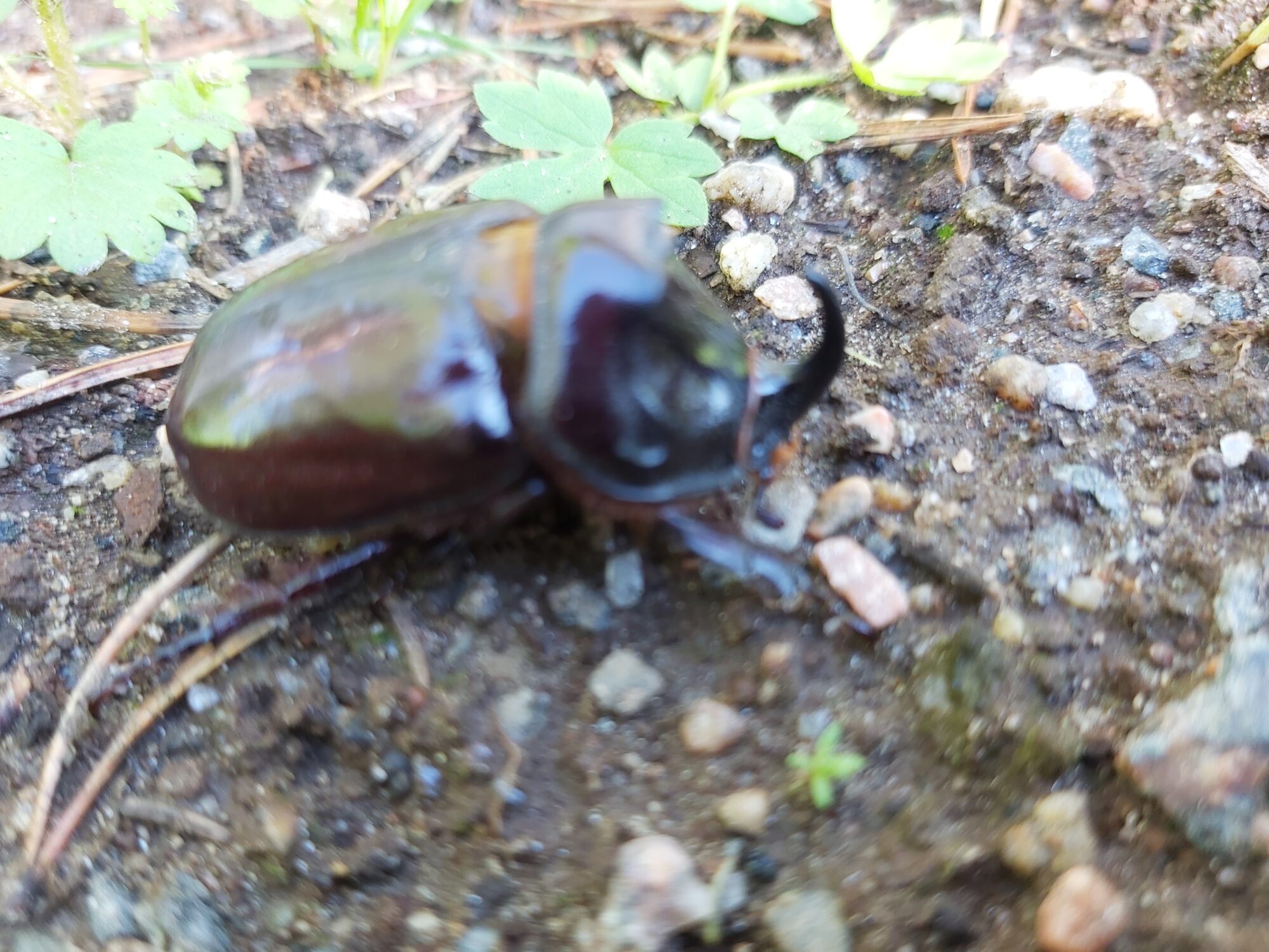 Valokuvaaja: Maija-Liisa Hiisijärvi