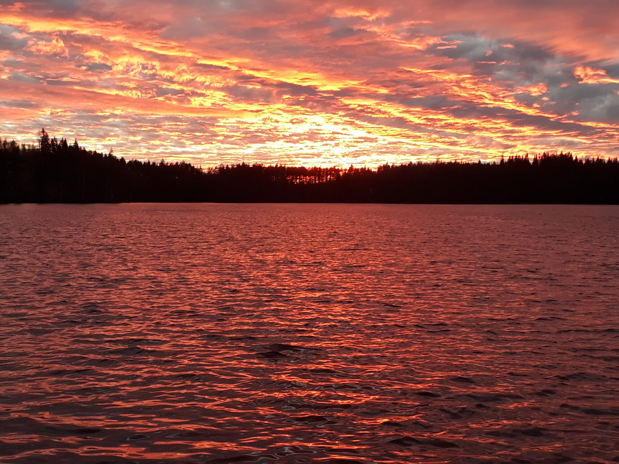 Valokuvaaja: Harri Susi