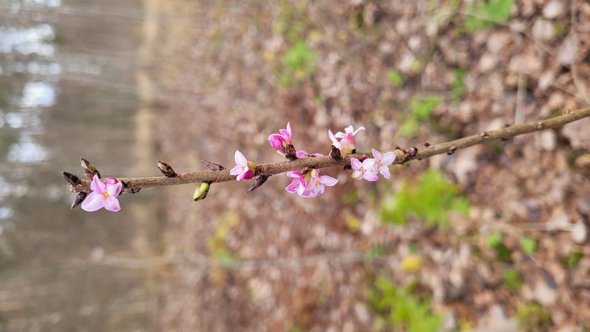 Valokuvaaja: Karoliina Kääpä