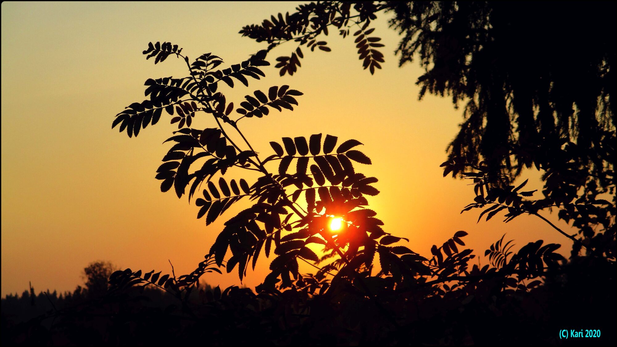 Valokuvaaja: Kari Saarinen