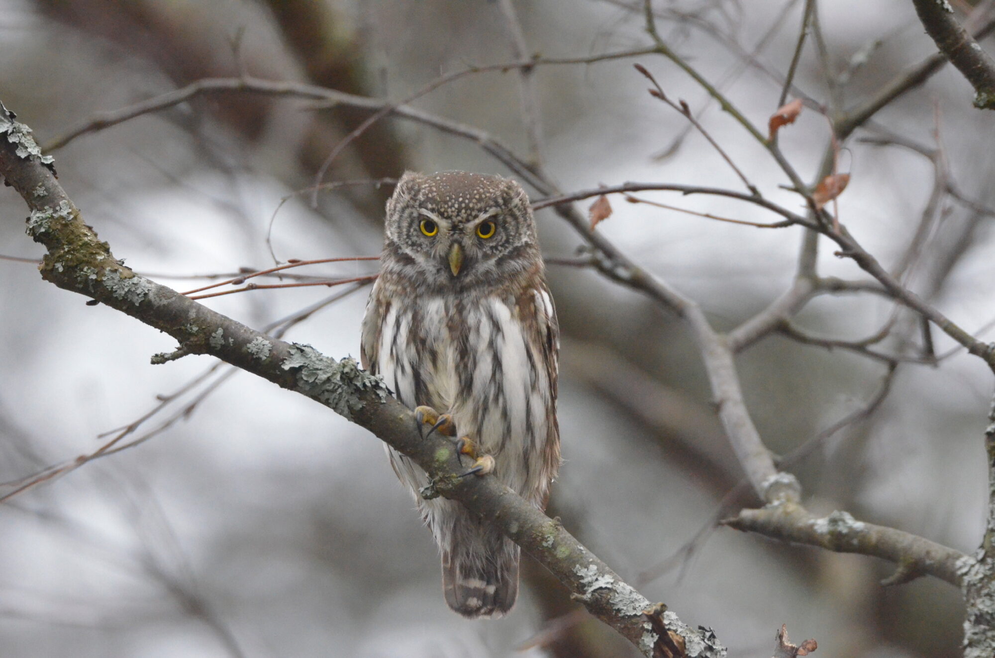Valokuvaaja: Jouko Etelä