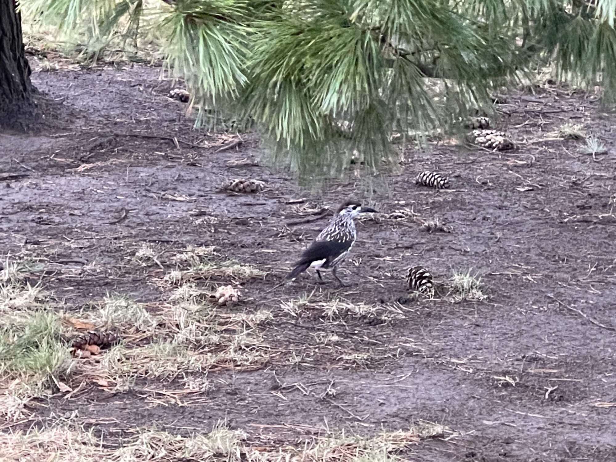 Valokuvaaja: Noora Saukkonen