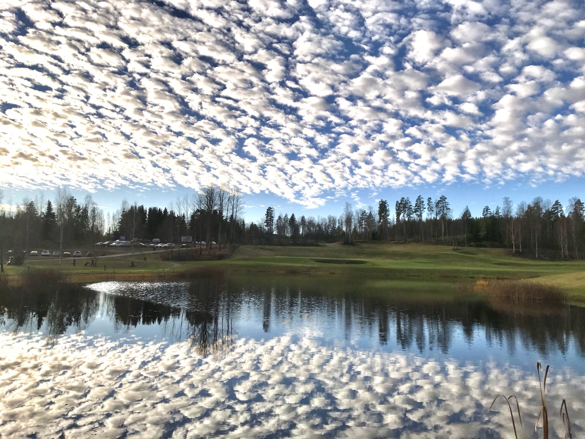 Valokuvaaja: Anne Patana