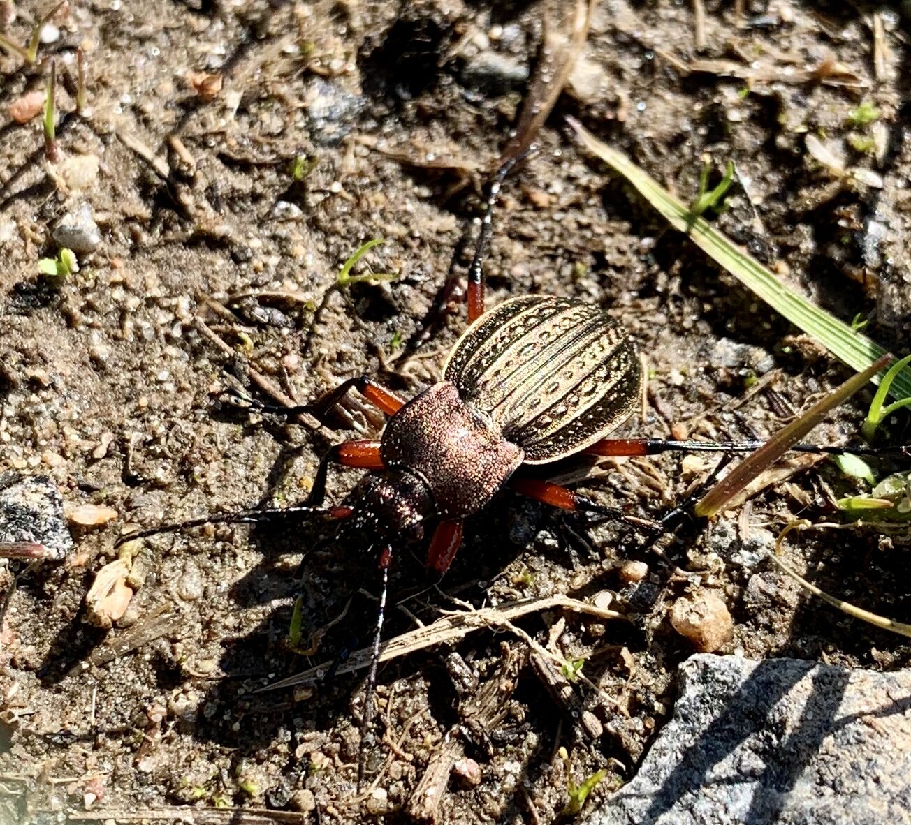 Valokuvaaja: Tiina Pylvänäinen