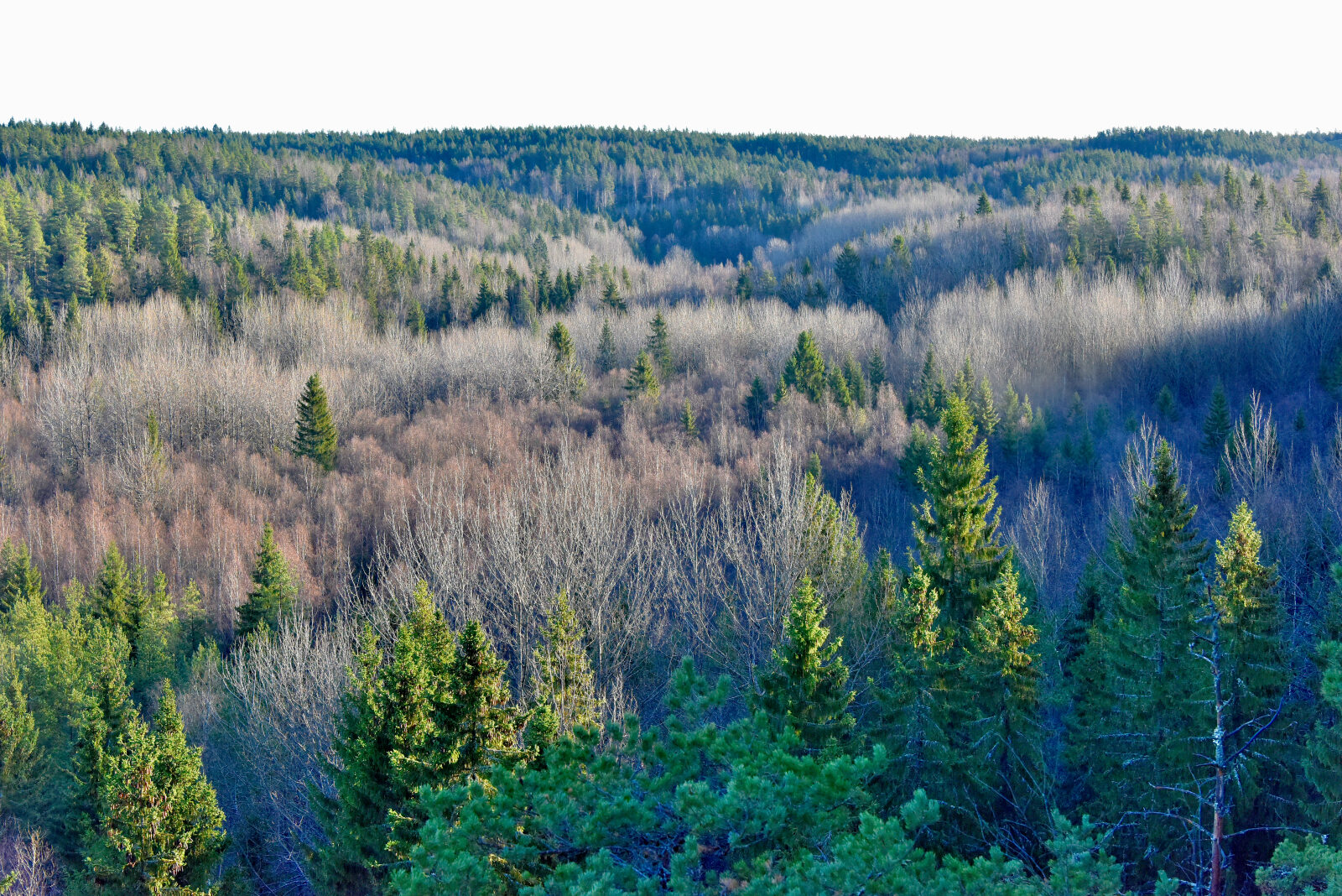 Valokuvaaja: Reijo Juurinen
