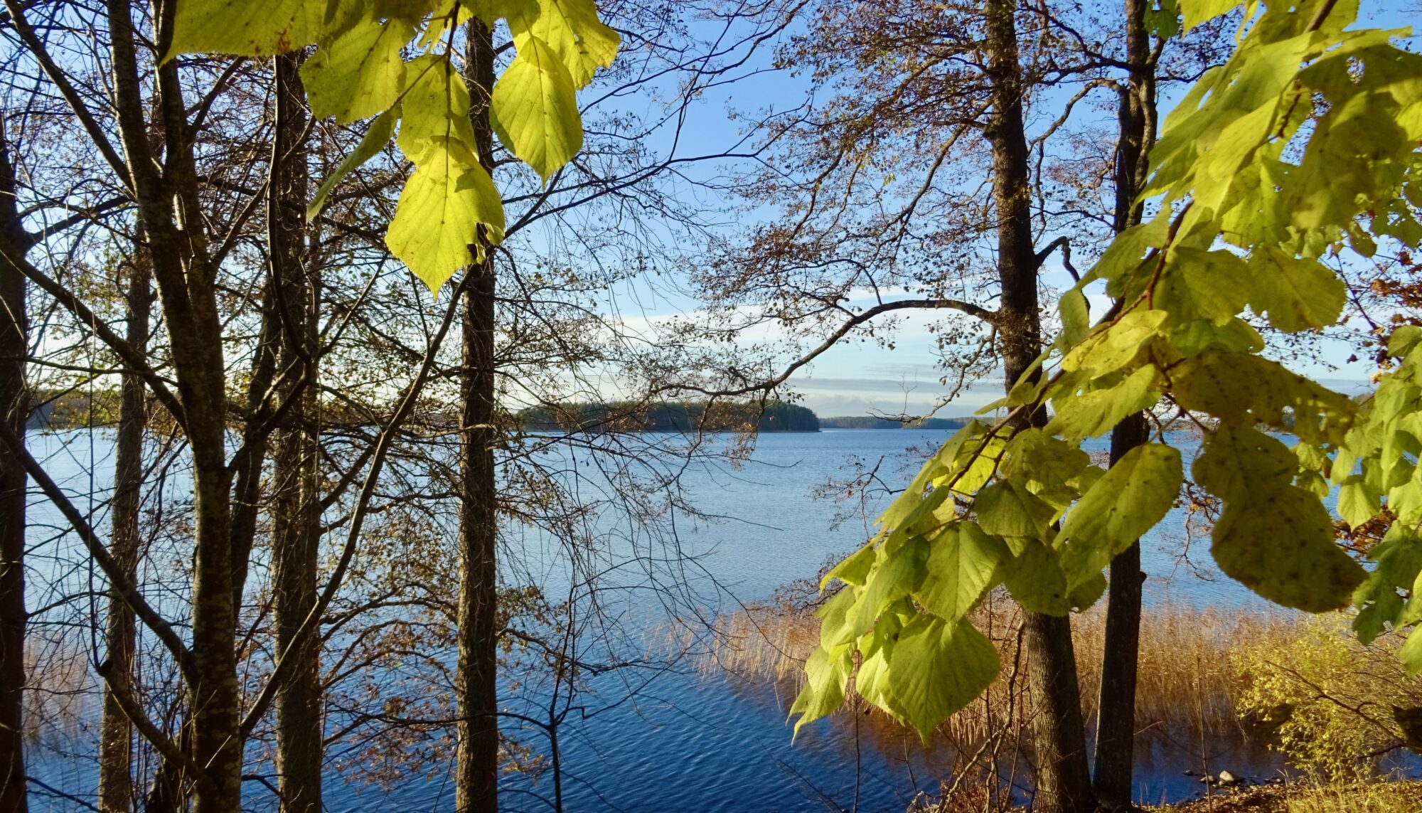 Valokuvaaja: Liisa Niiva-Korpela