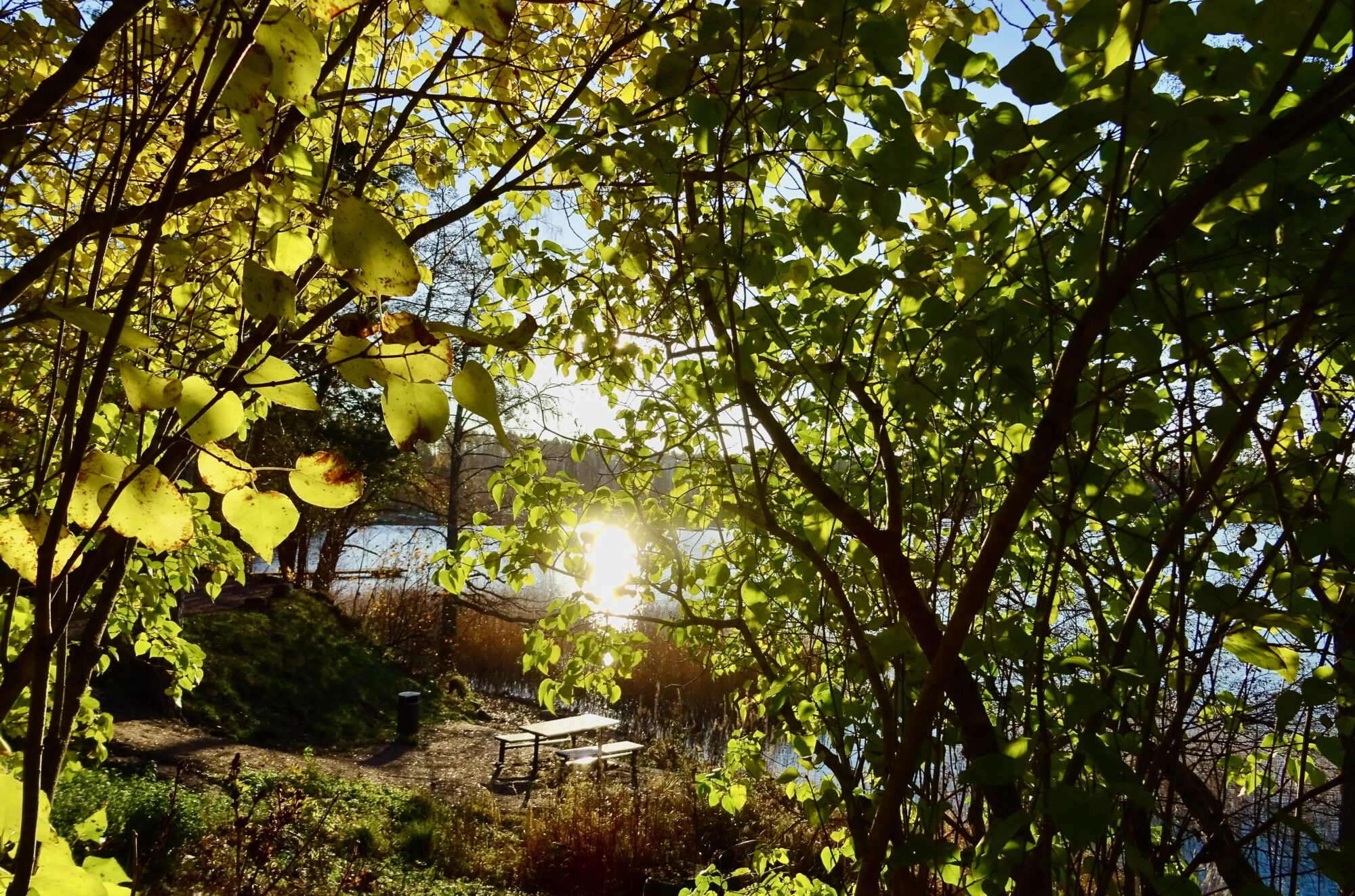 Valokuvaaja: Liisa Niiva-Korpela