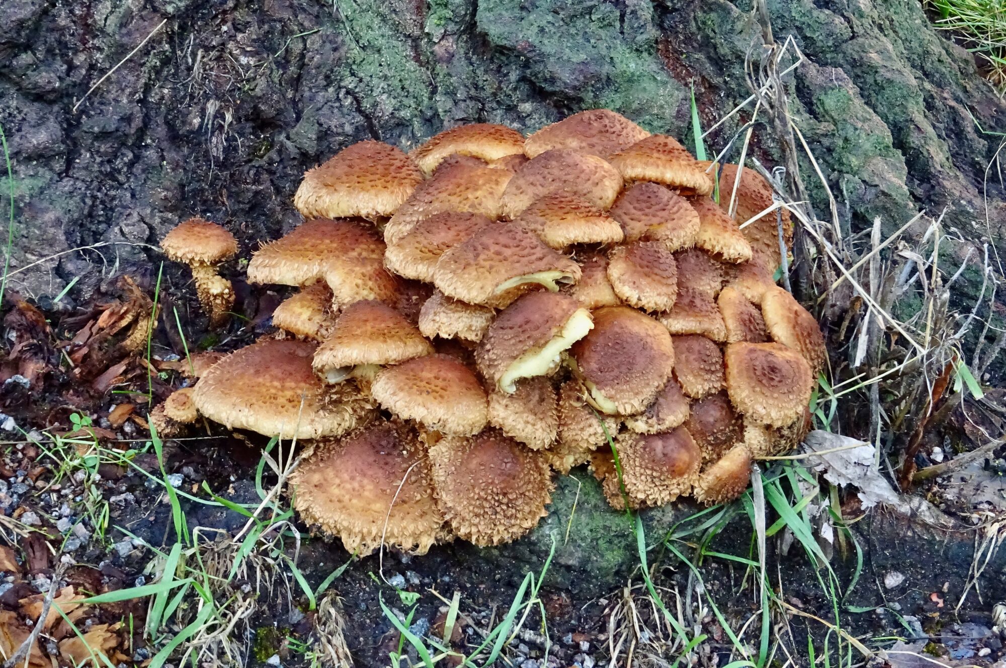 Valokuvaaja: Liisa Niiva-Korpela Valokuvaaja: Liisa Niiva-Korpela