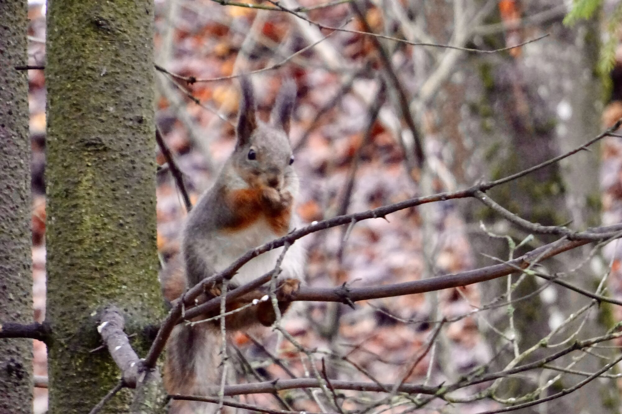 Valokuvaaja: Liisa Niiva-Korpela