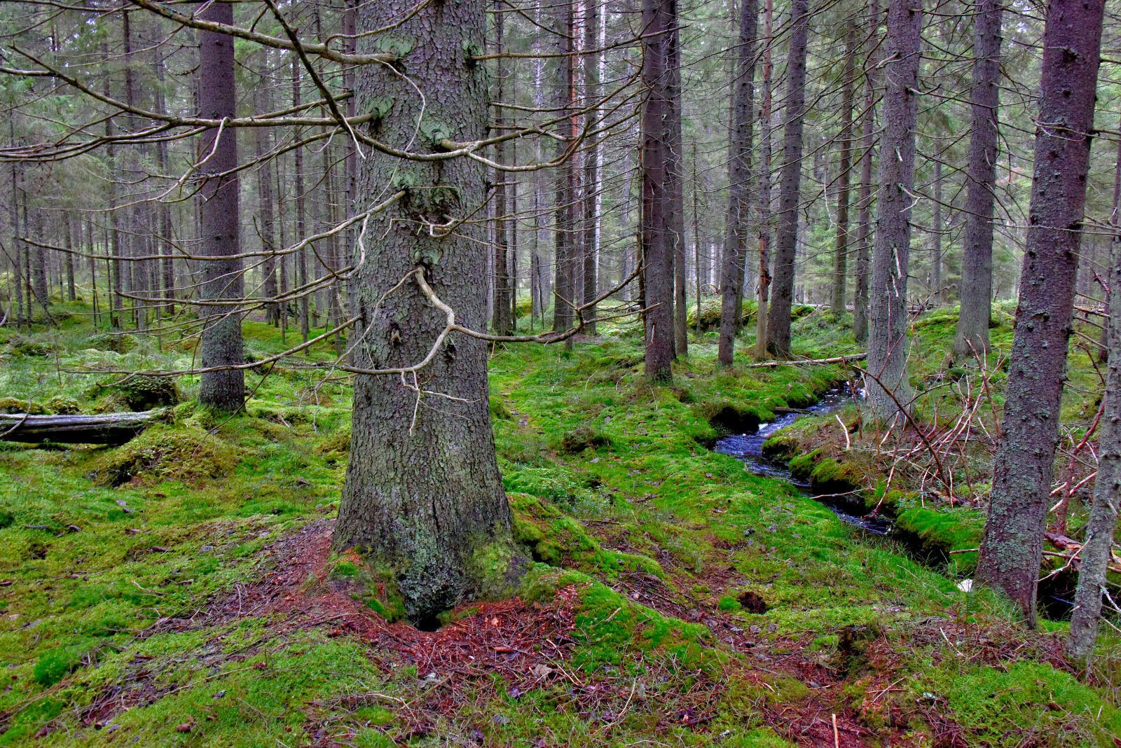 Valokuvaaja: Reijo Juurinen