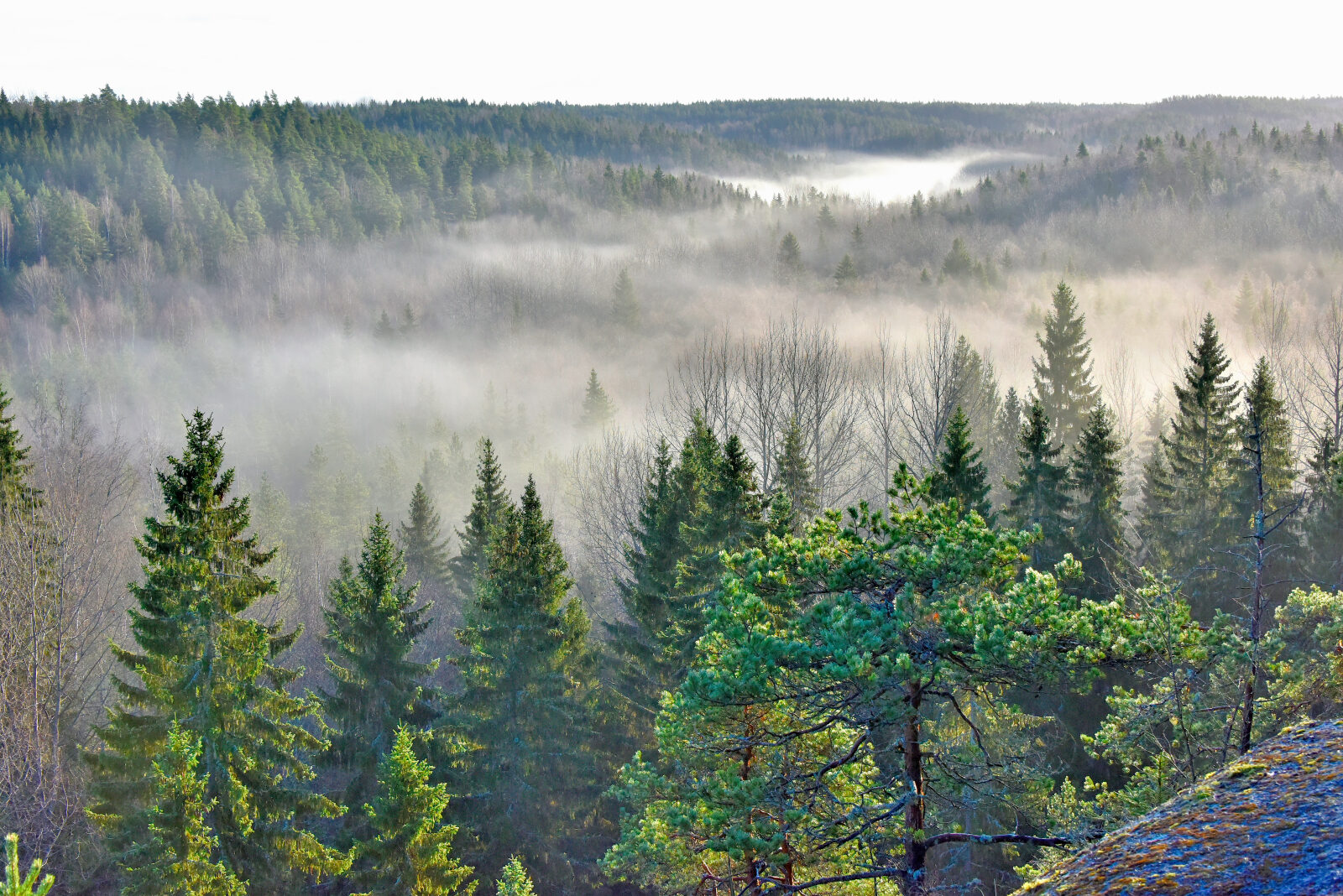 Valokuvaaja: Reijo Juurinen