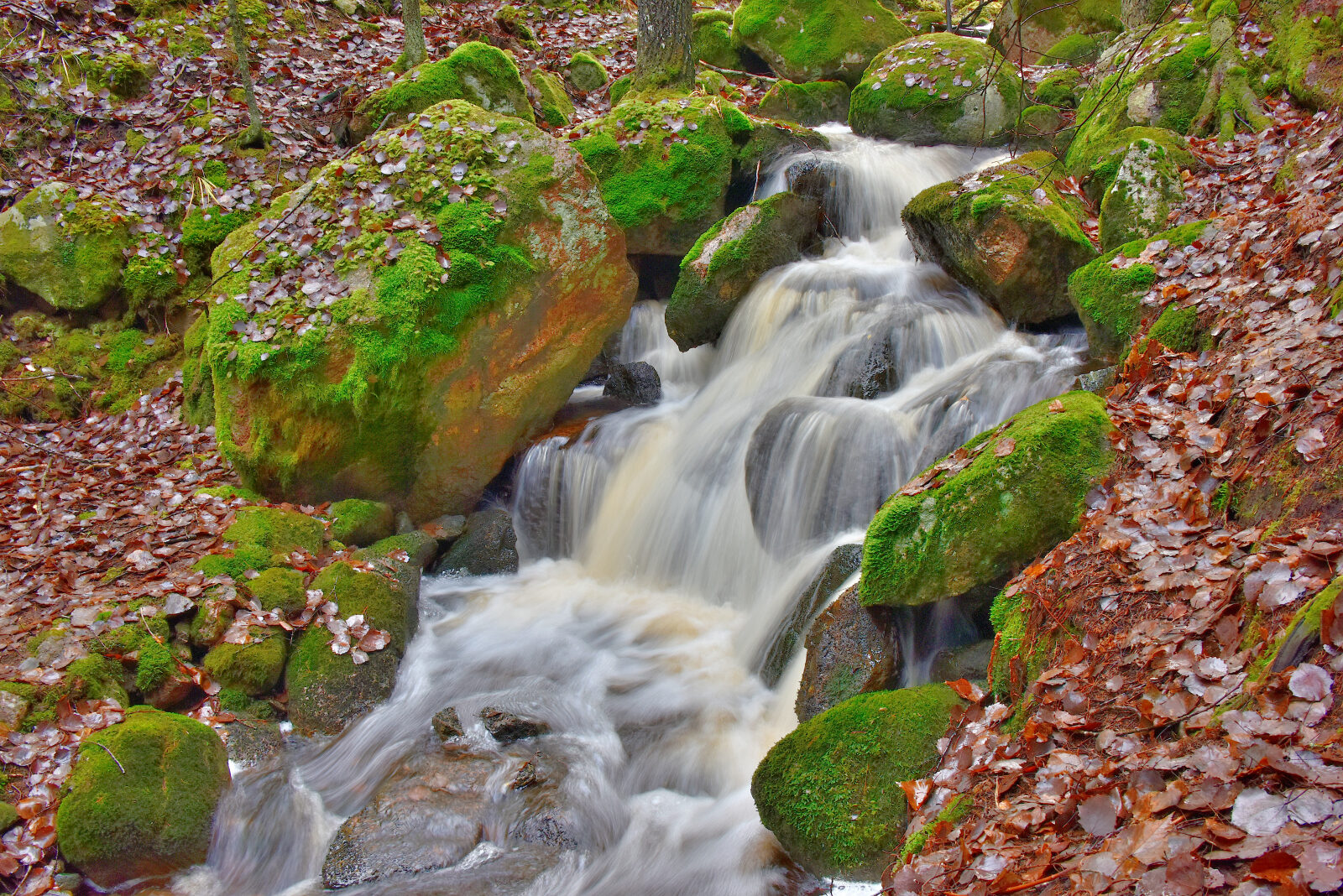Valokuvaaja: Reijo Juurinen