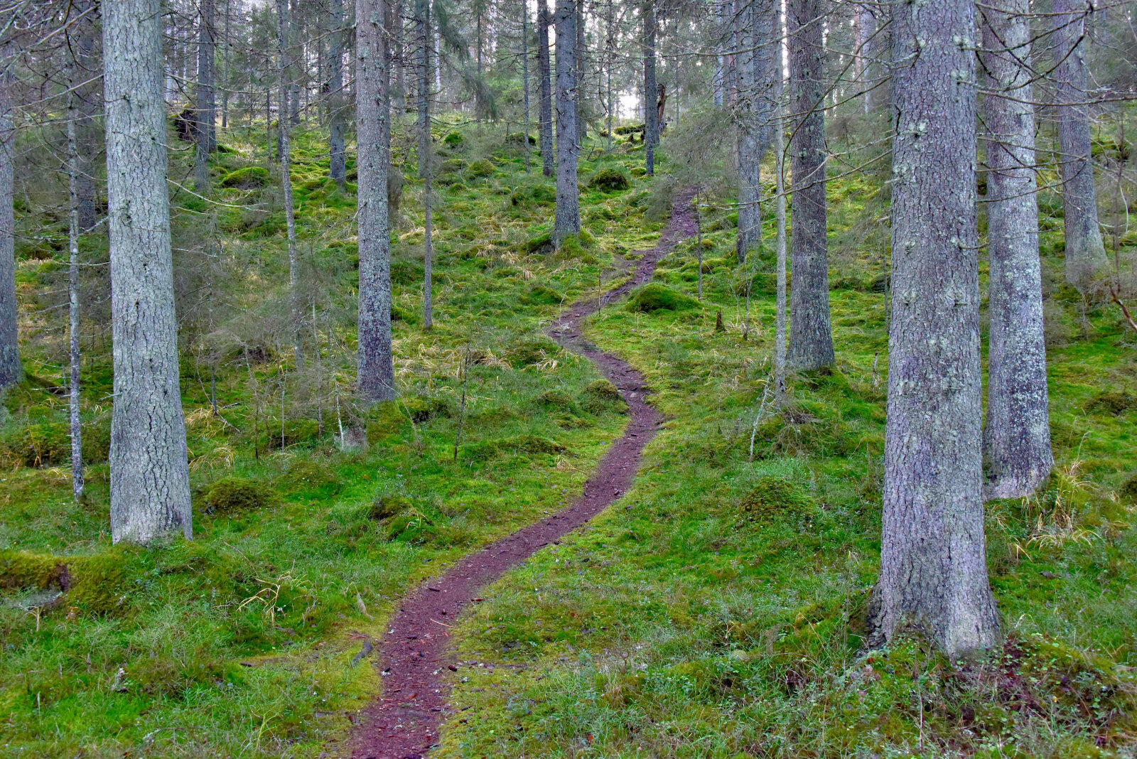 Valokuvaaja: Reijo Juurinen Valokuvaaja: Reijo Juurinen