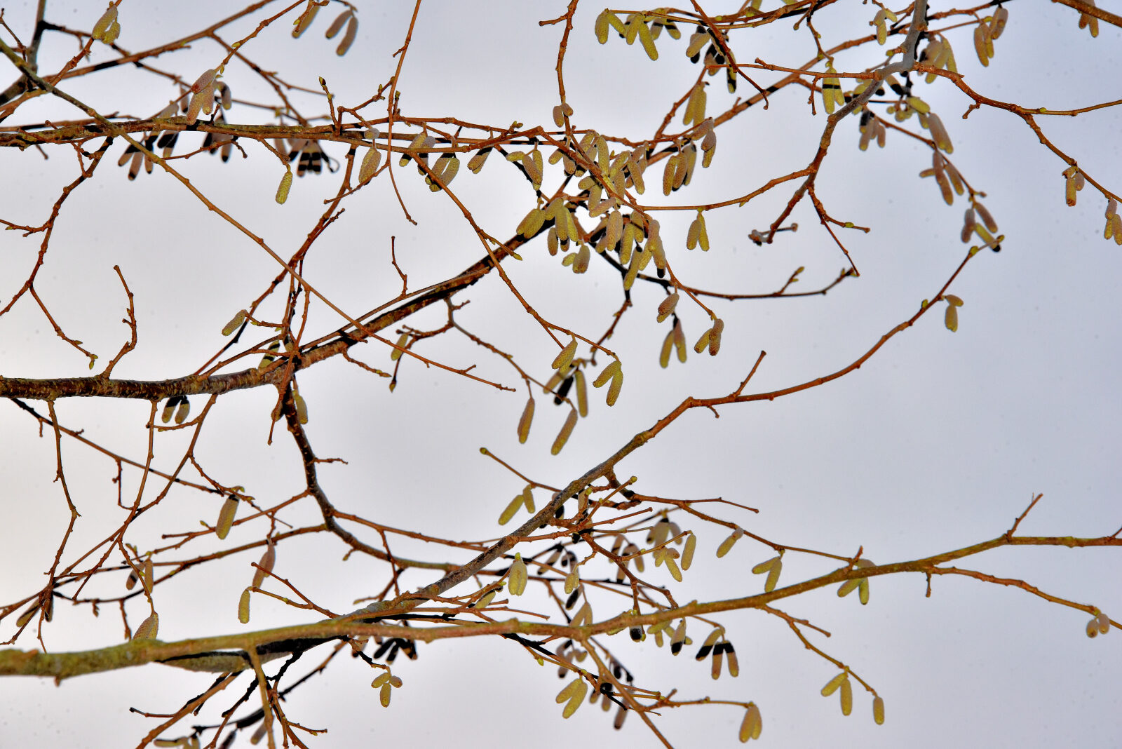 Valokuvaaja: Reijo Juurinen