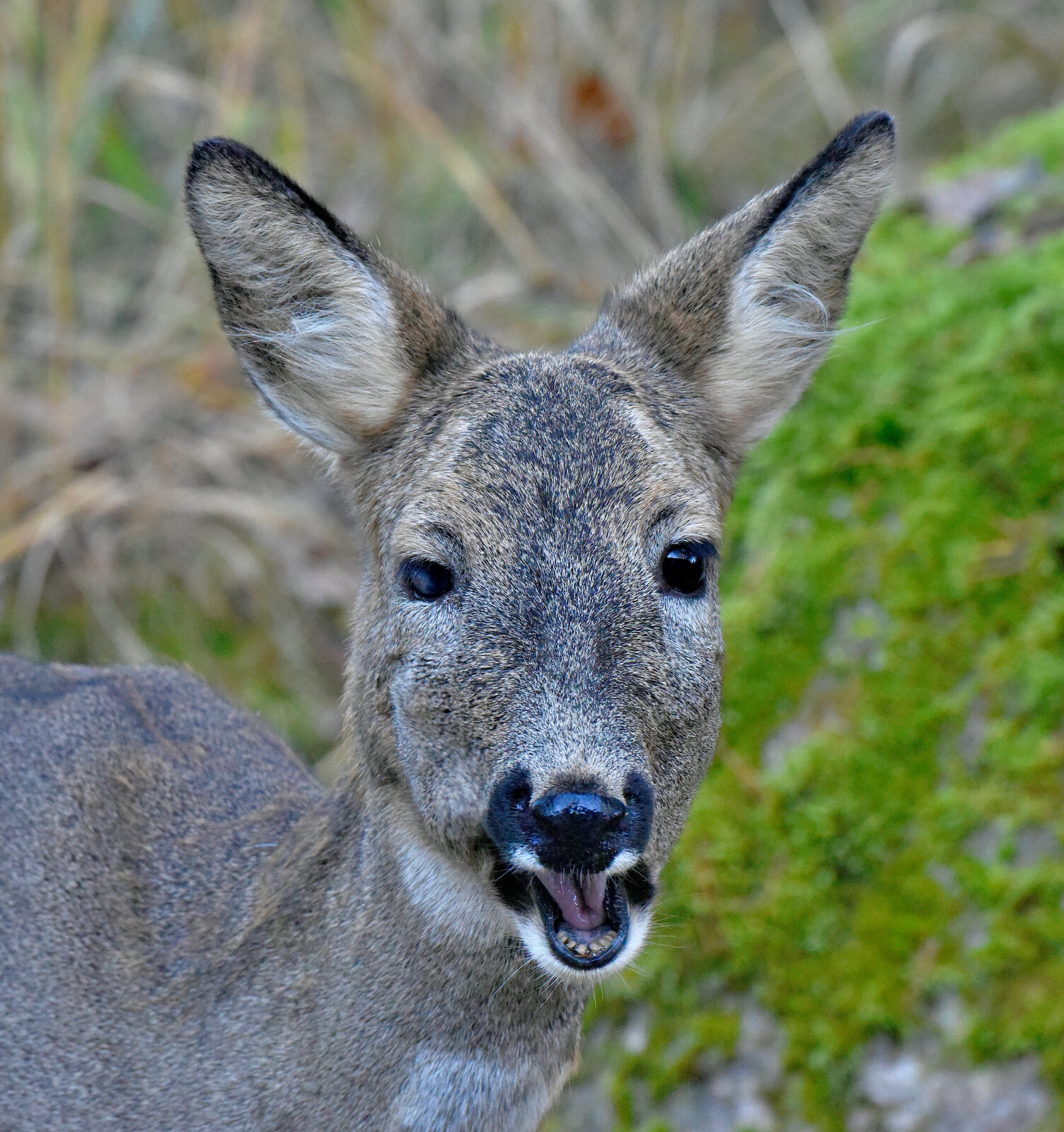 Valokuvaaja: Reijo Juurinen