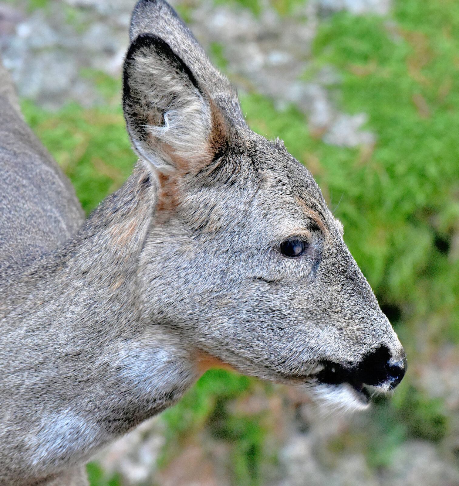 Valokuvaaja: Reijo Juurinen