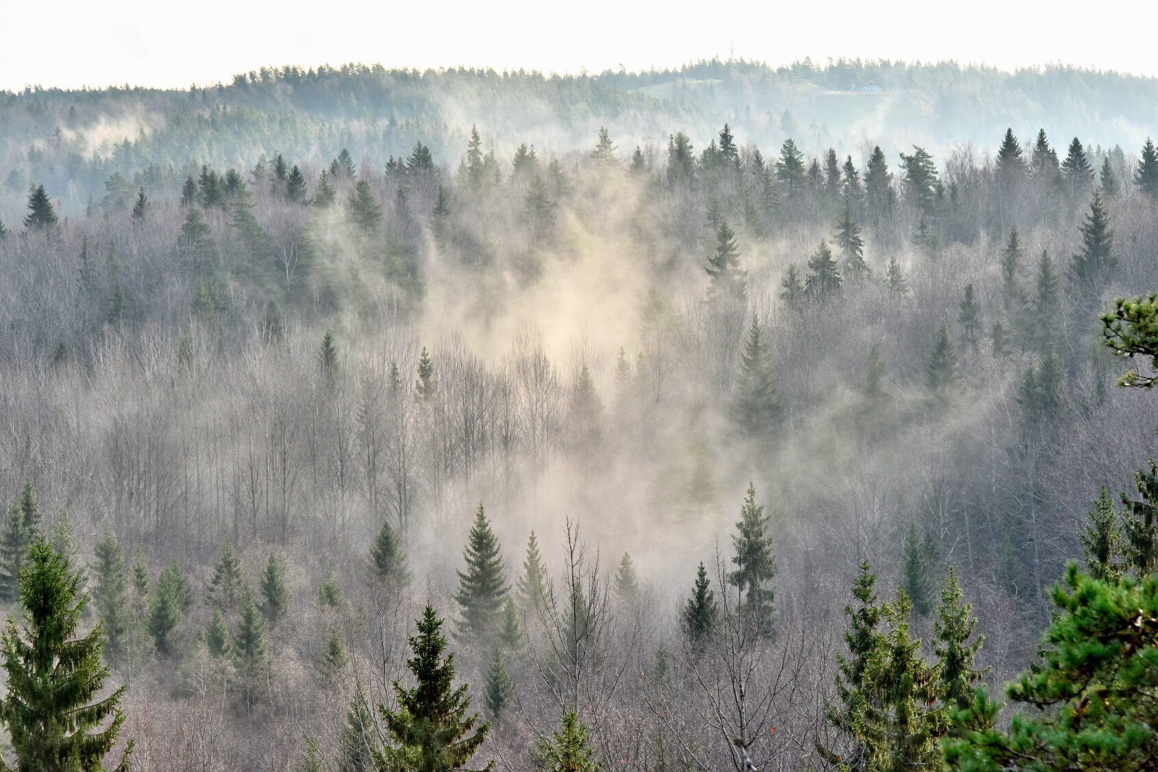 Valokuvaaja: Reijo Juurinen