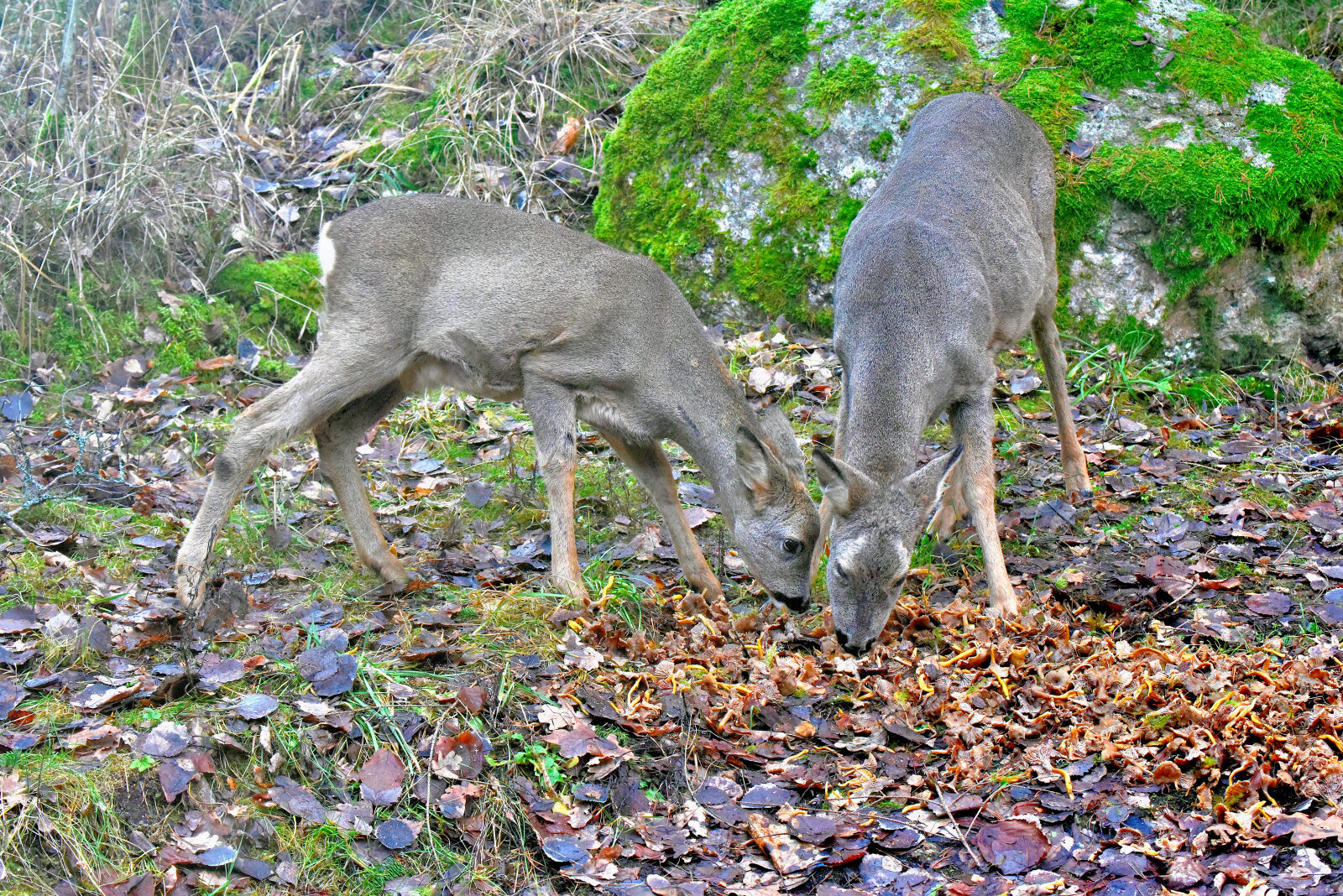 Valokuvaaja: Reijo Juurinen